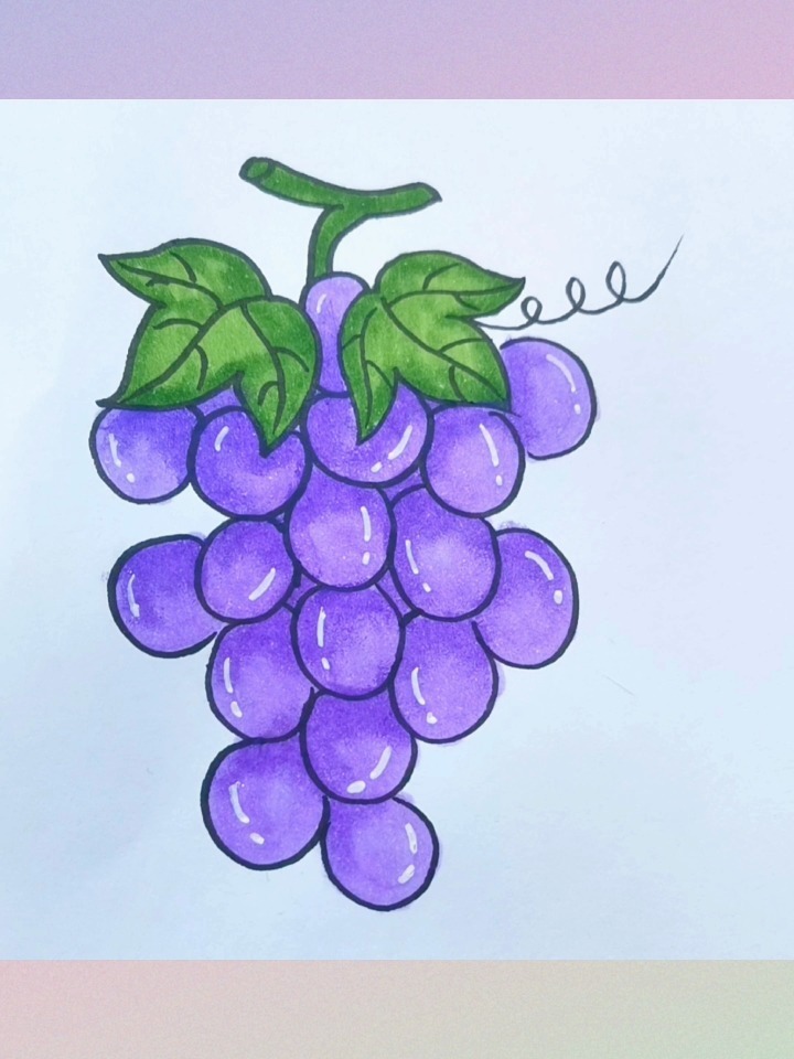 葡萄简笔画上色图片