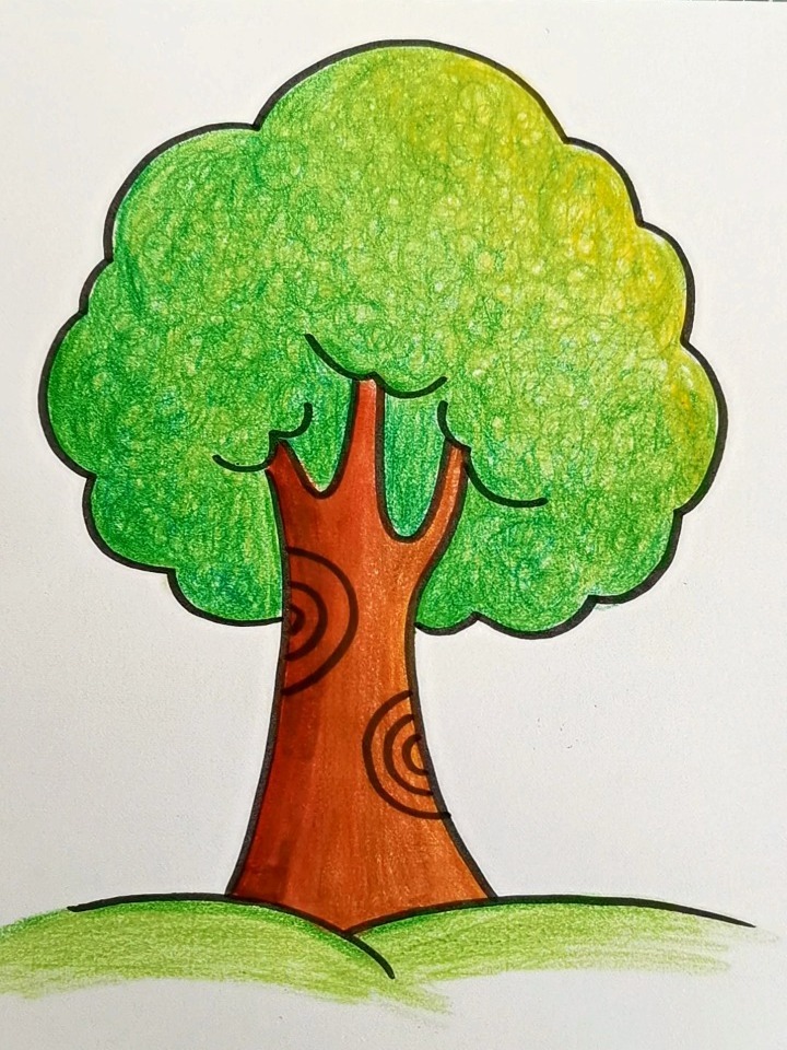 大树怎么画最美又简单图片