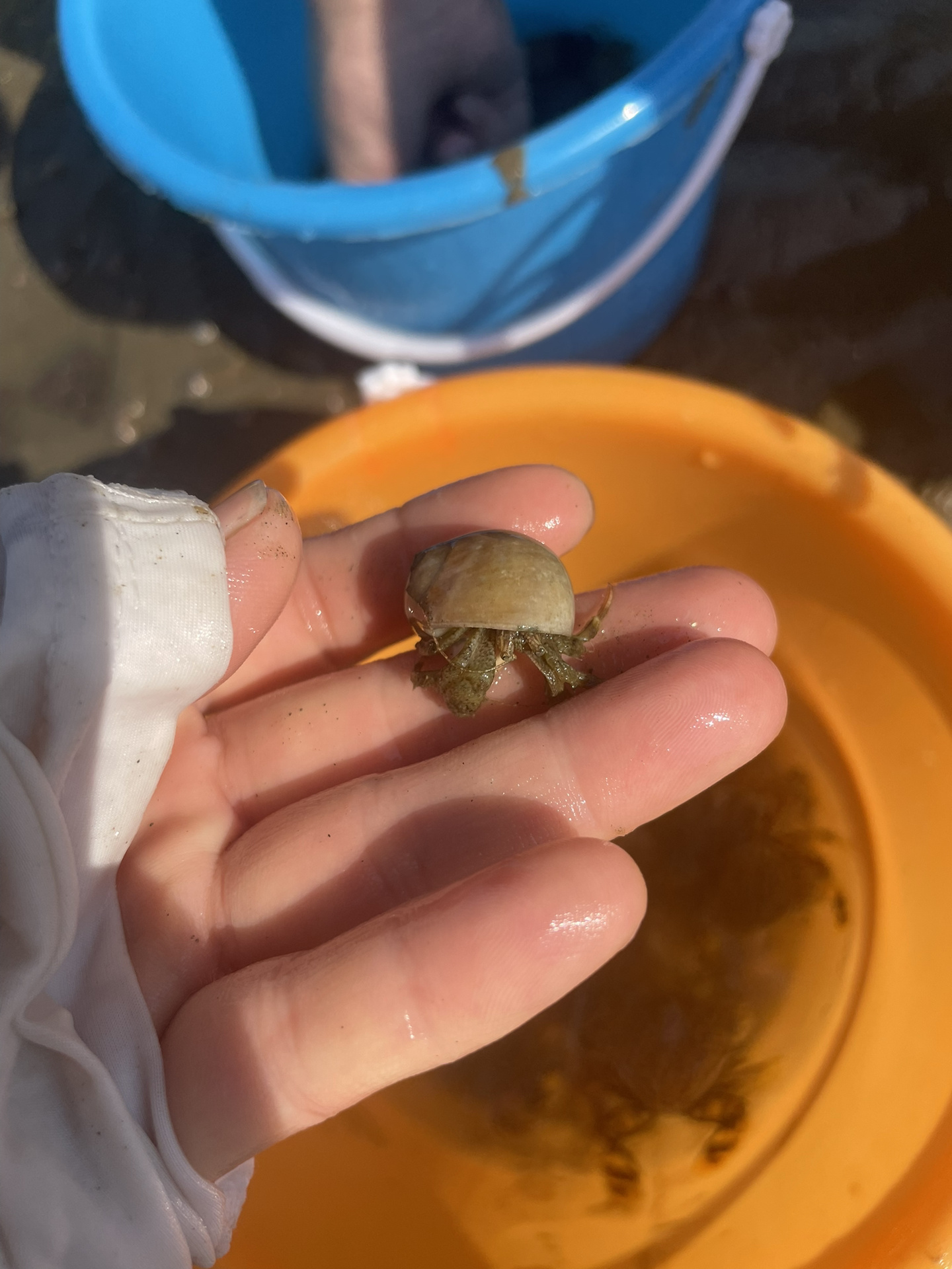 赶海第一站山东莱州虎头崖海上长城-度小视