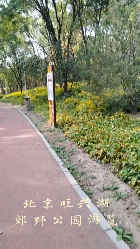 北京旺兴湖郊野公园游览笔记