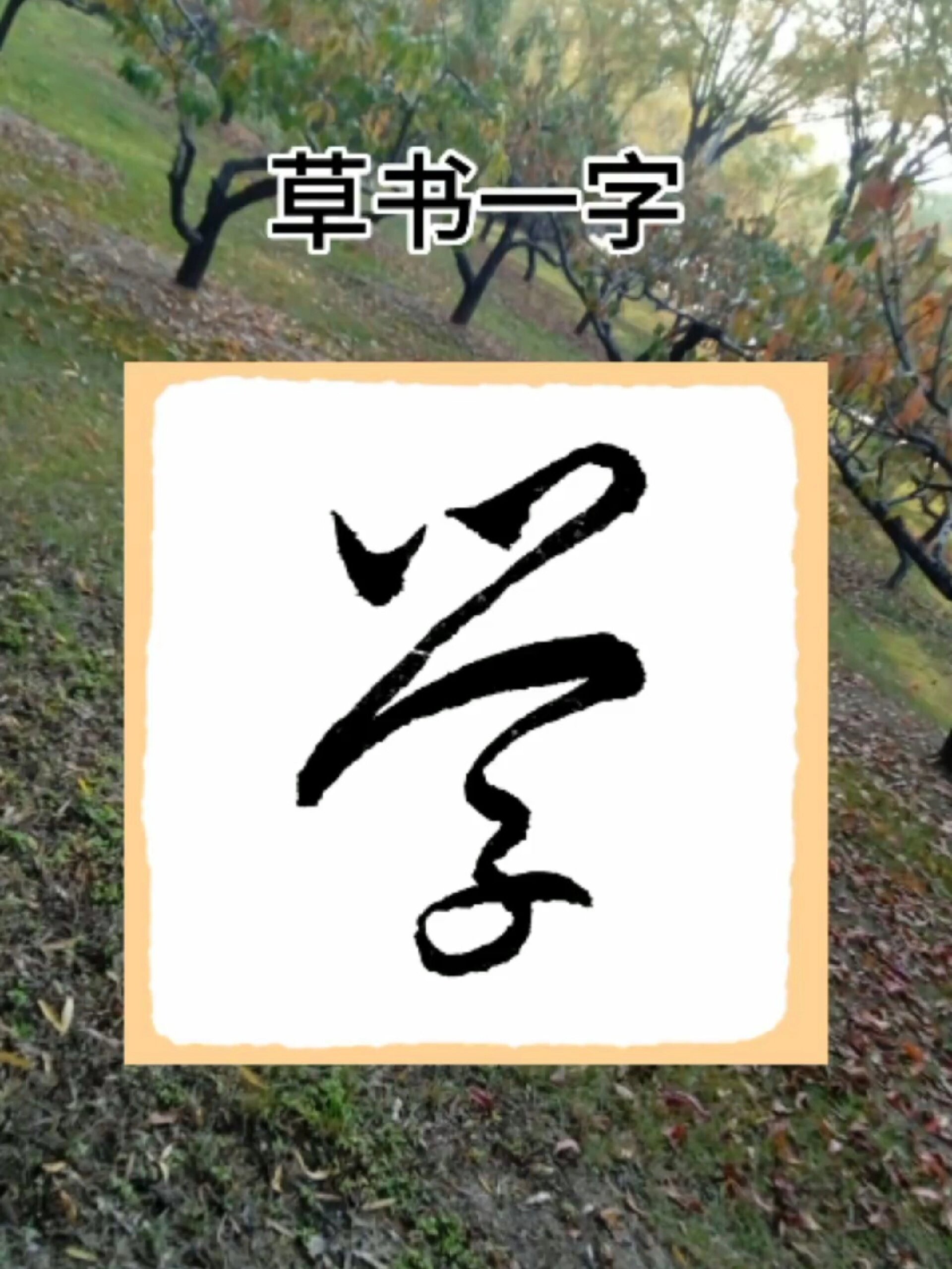 学字的草书写法