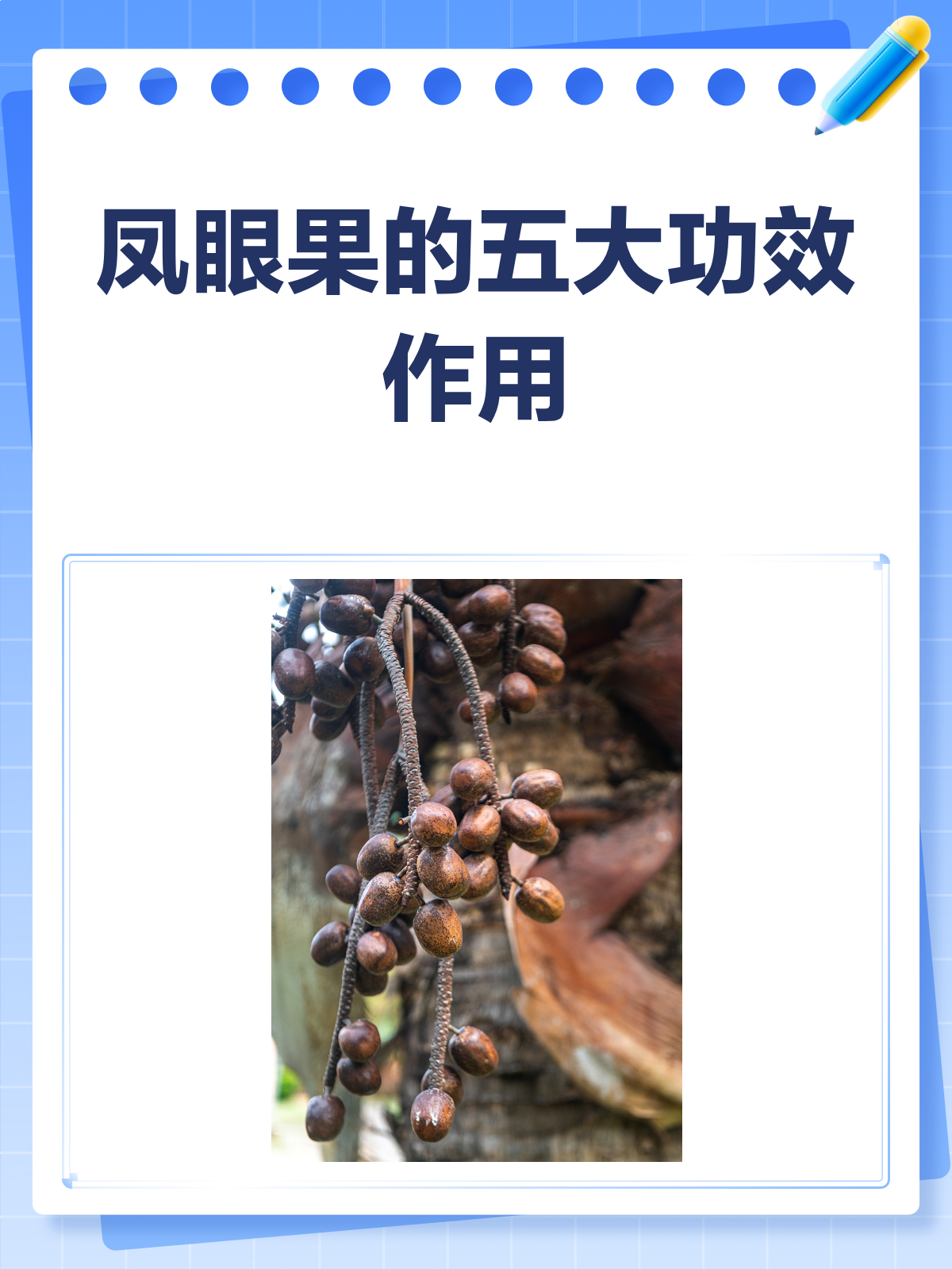 凤眼果的神奇功效,你了解多少?