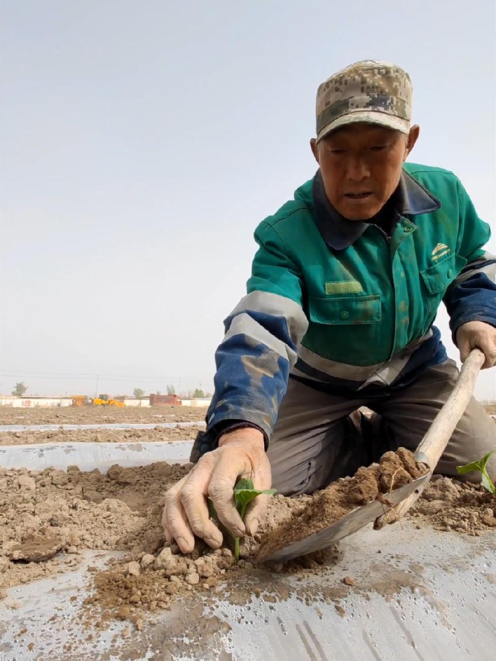 五一,如果你到不了民勤,那我就把家里的农活带给你