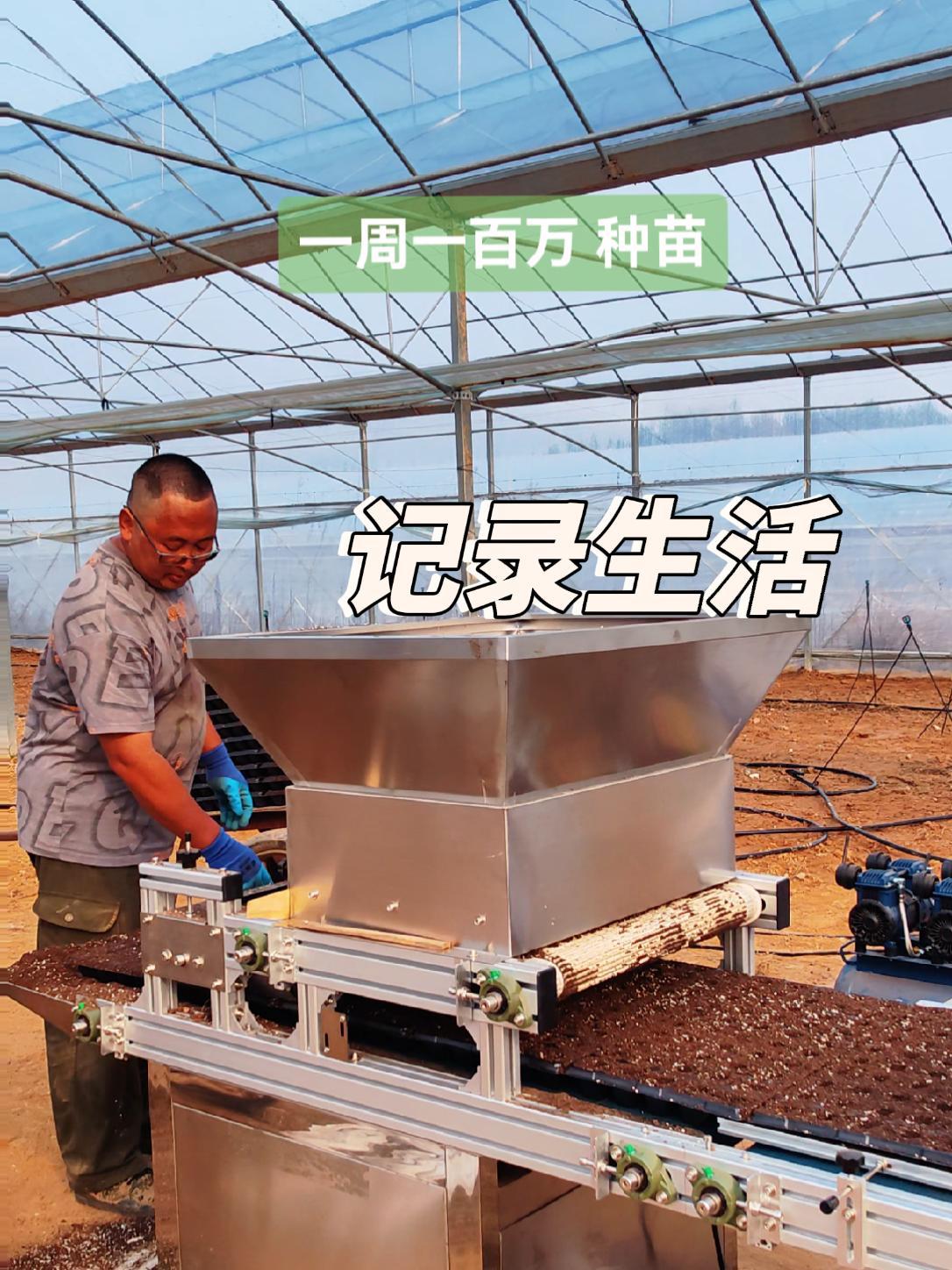 农村种植业致富项目有哪些内容(农村种植业致富项目有哪些内容和要求)