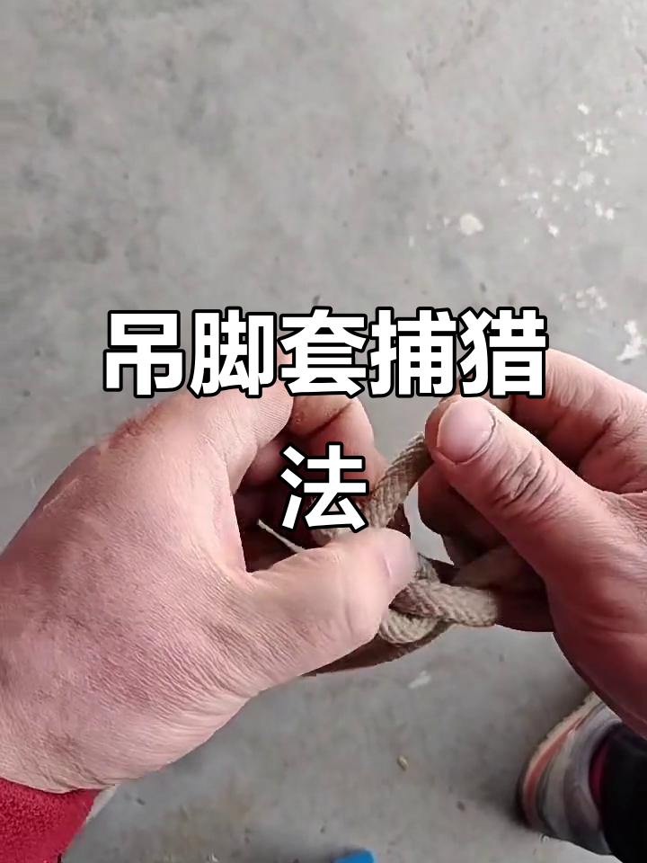野外生存技巧:吊脚套轻松捕获猎物