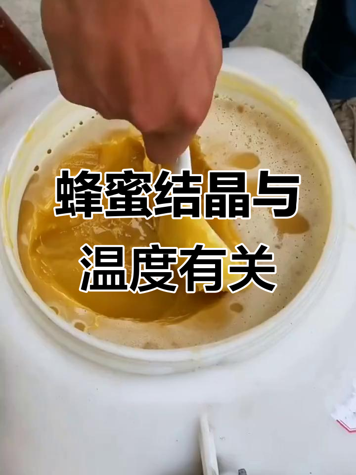蜂蜜结晶是变质了吗图片(蜂蜜结晶是变质了吗图片大全)