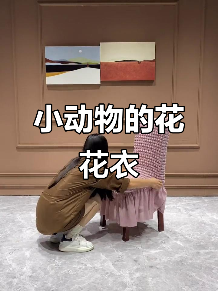 给小动物穿上花衣,萌态十足