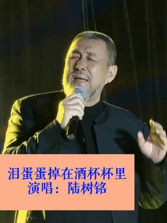 泪蛋蛋掉在酒杯杯里 陆树铭原声版-度小视