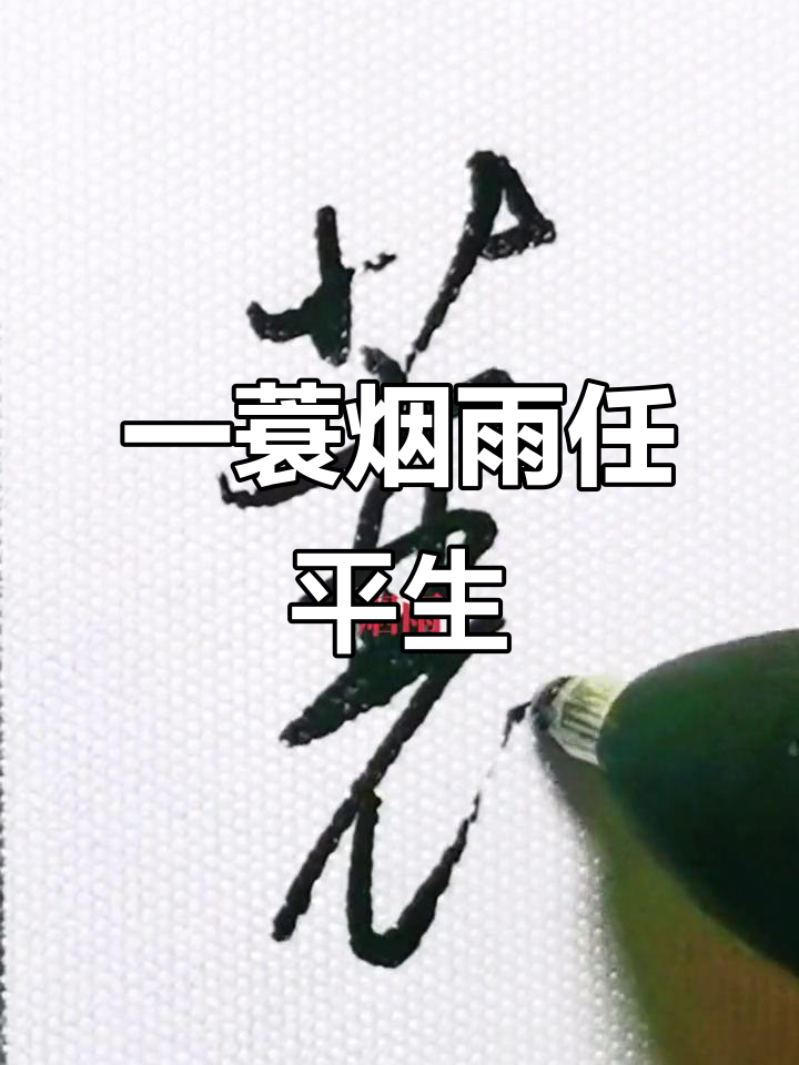 烟雨中一蓑烟,书法之美尽显