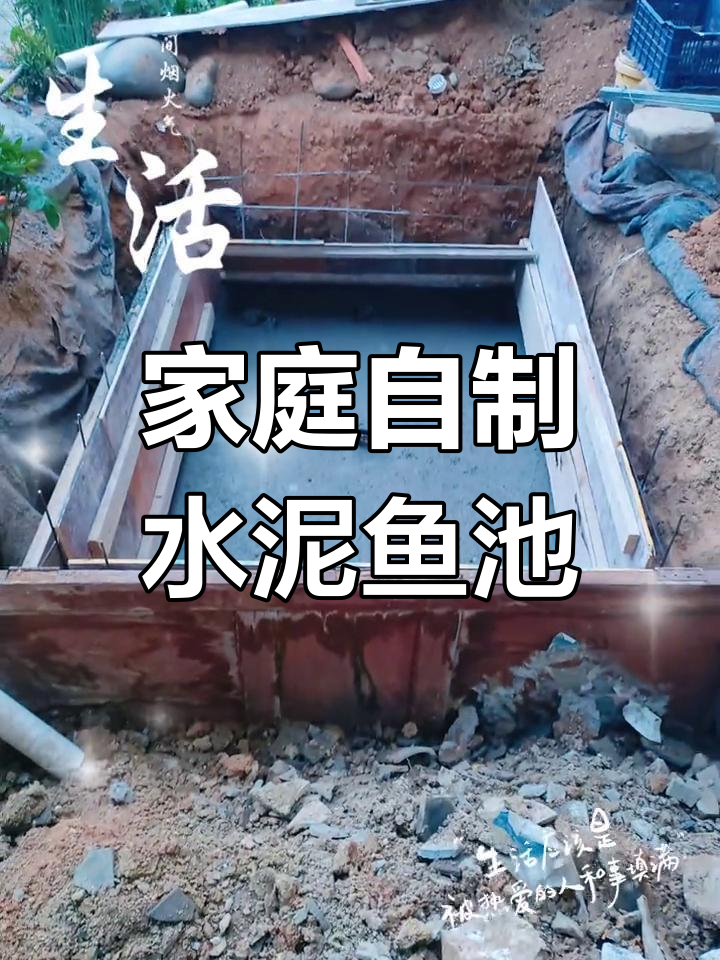 自制水泥鱼池,从零开始打造理想家园