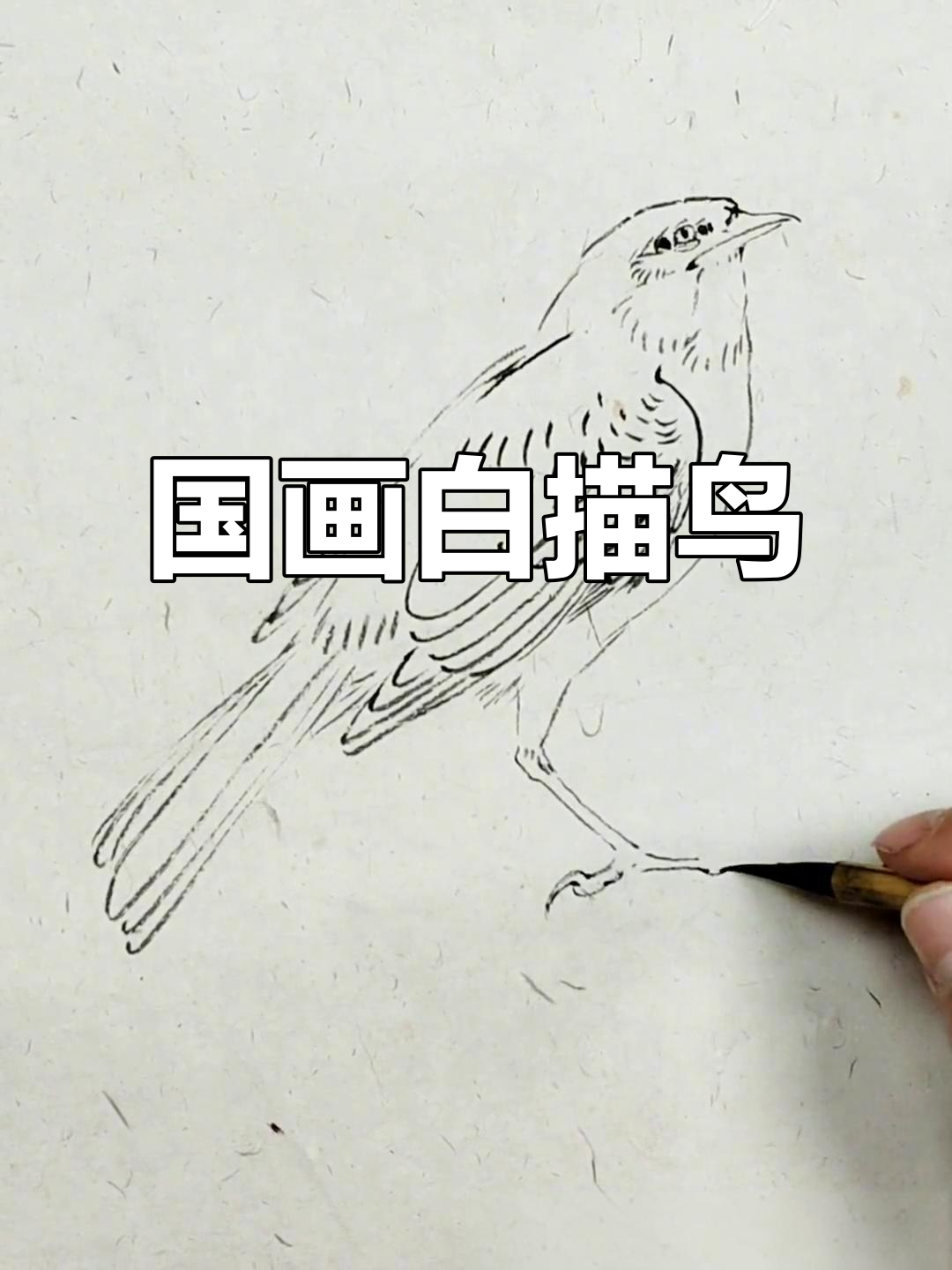 白描小鸟,国画艺术与技巧解析