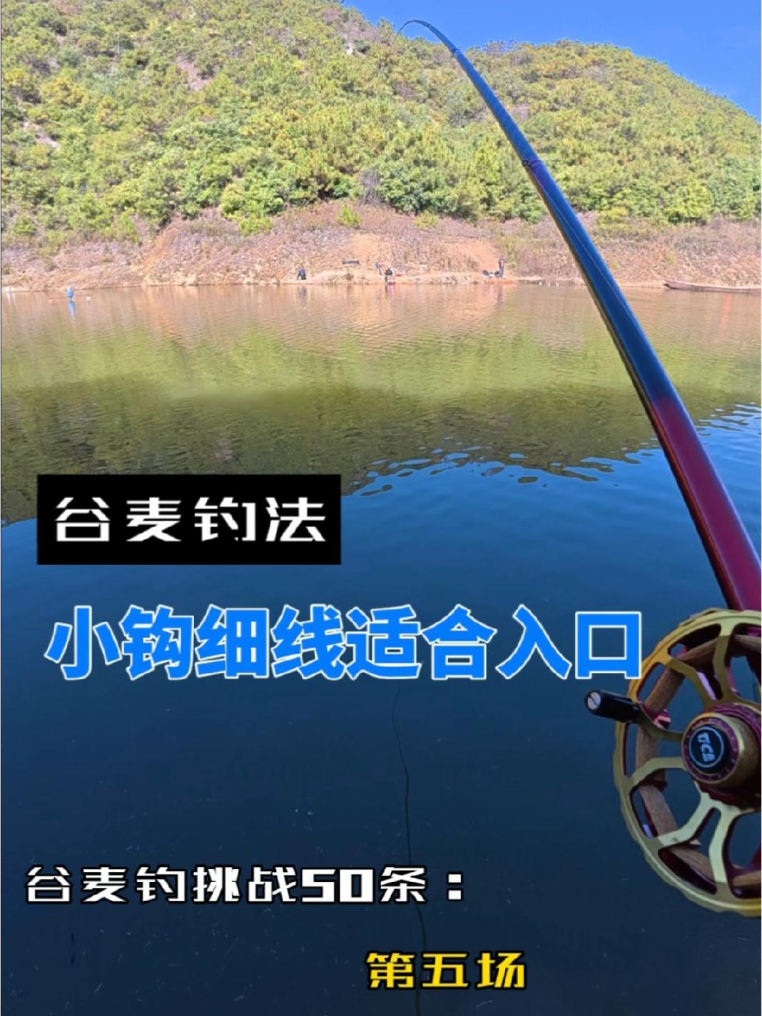 谷麦钓法现学现用,稍作调整效果立竿见影,谷麦钓法原来这么简单 野钓