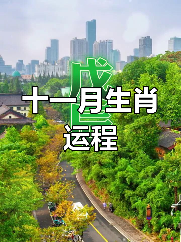 今日各生肖运势1月11日(今日各生肖运势1月11日查询)