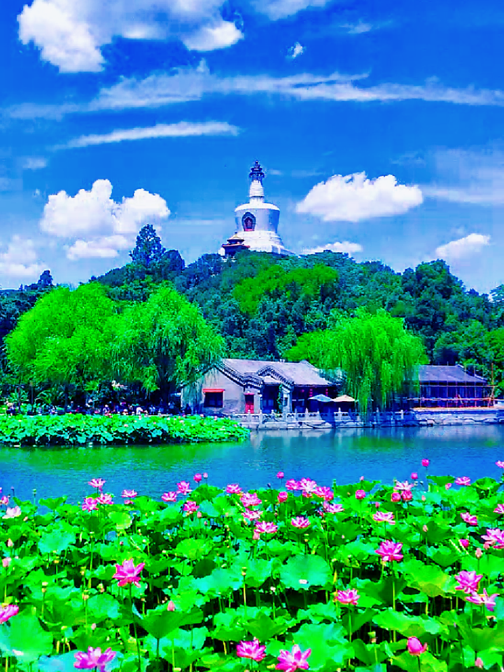 又是一年荷花盛开的季节,北京赏荷花好去处 北京旅游攻略