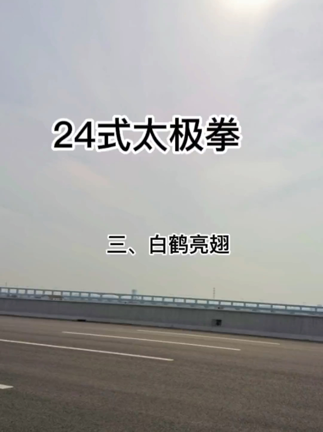 24式太极拳正背面教学 三,白鹤亮翅