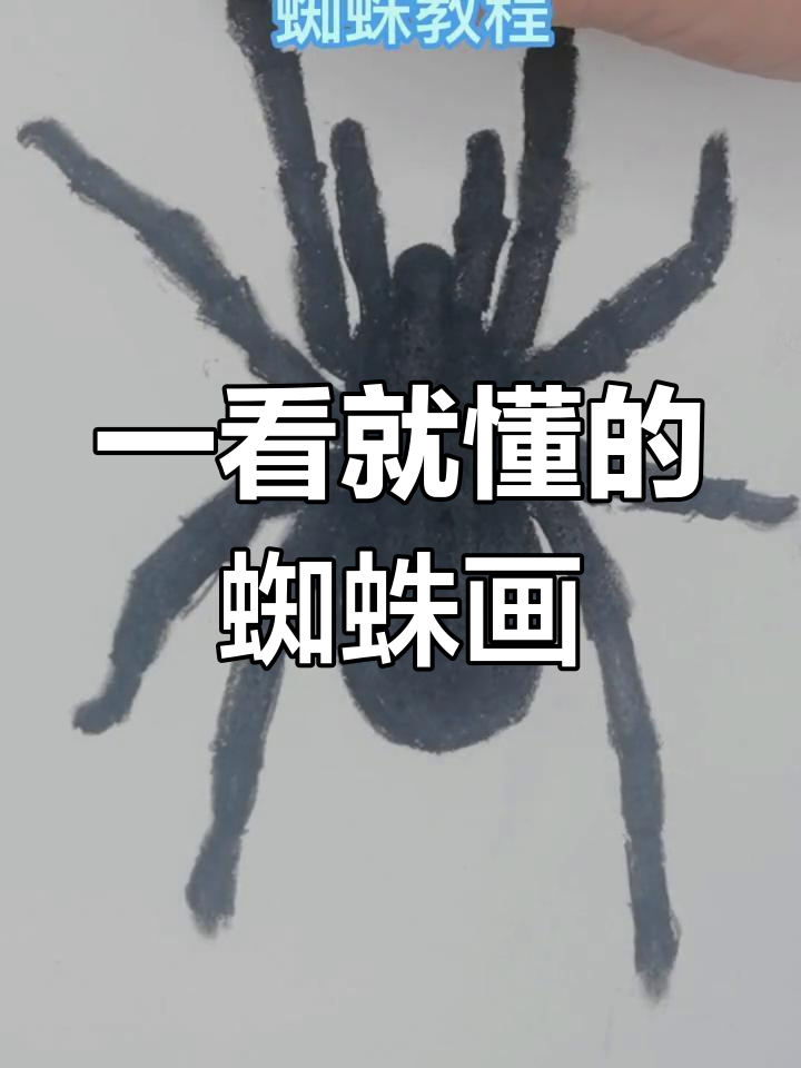 零基础也能轻松学会的蜘蛛画法,一看就会!