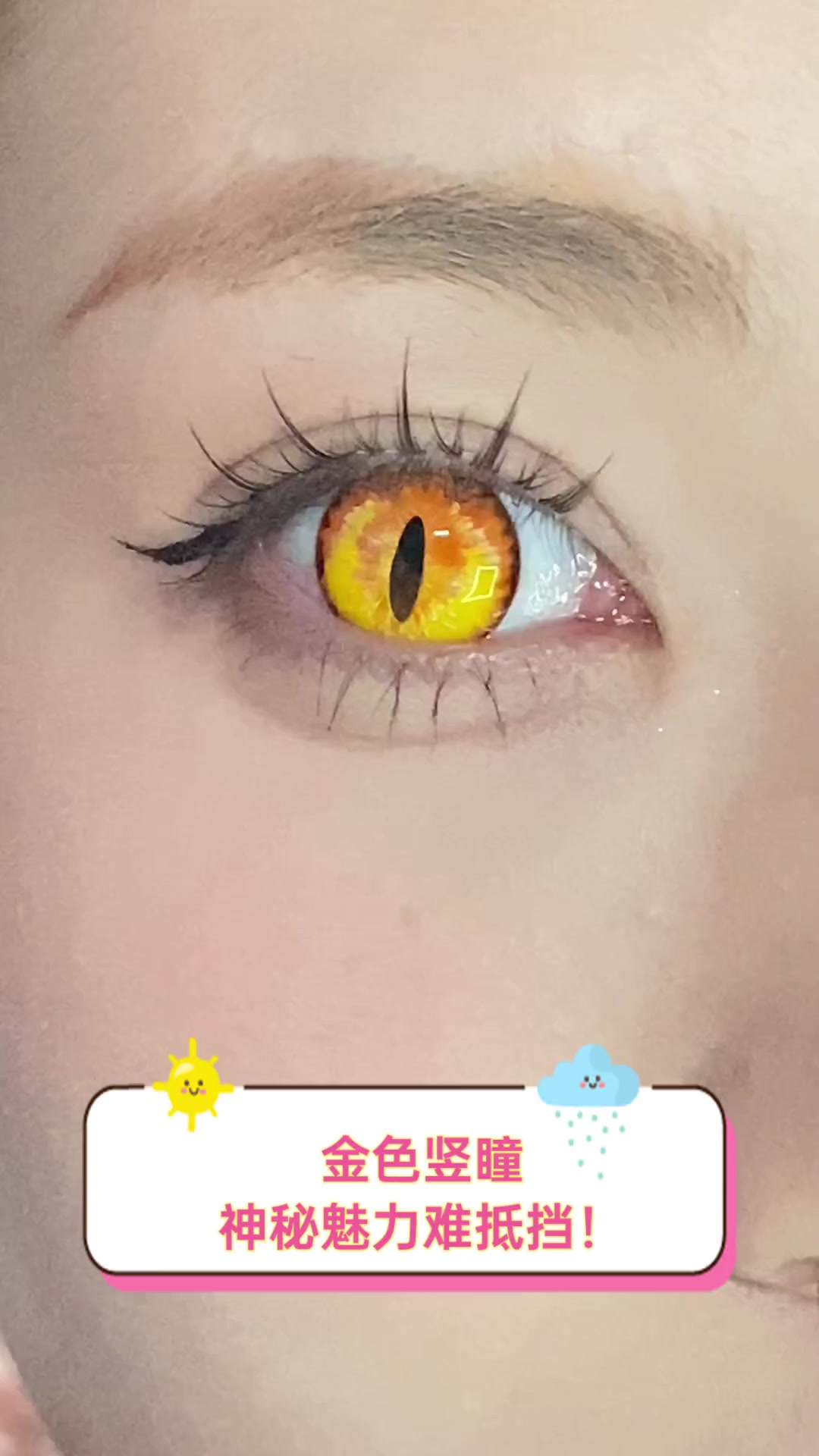 金色竖瞳,神秘魅力难抵挡!