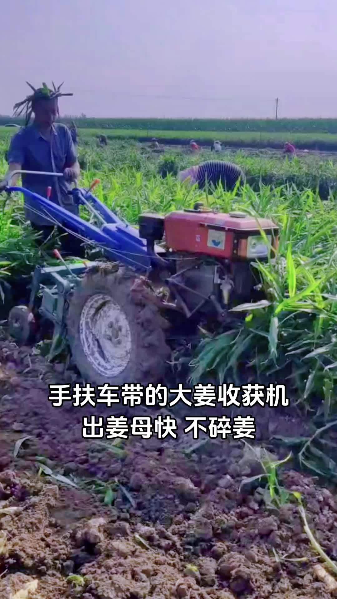 大姜收获机 出姜机 收姜机 农业机械-度小视