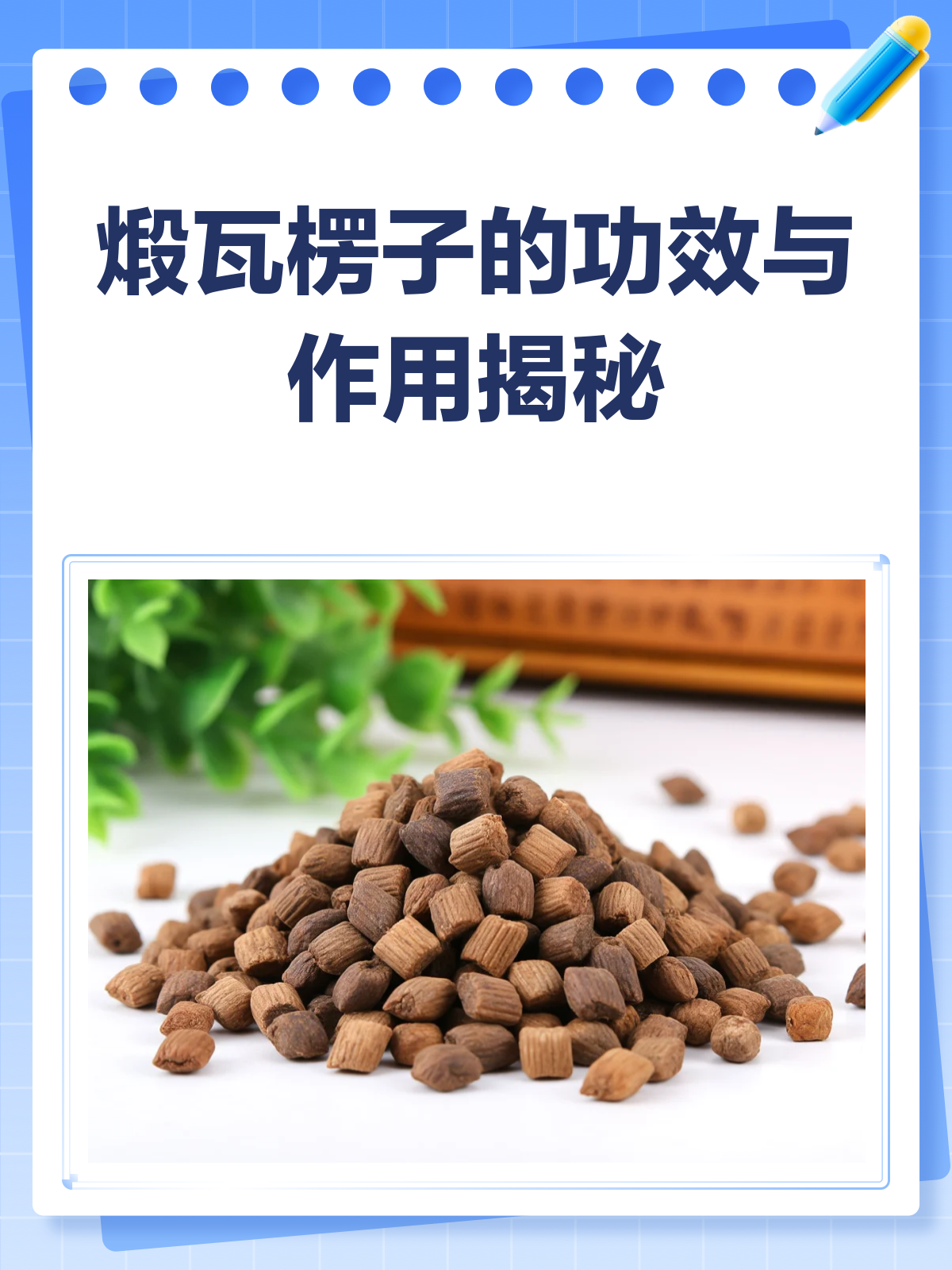 煅瓦楞子,这味中药竟能抑酸止痛又化痰!