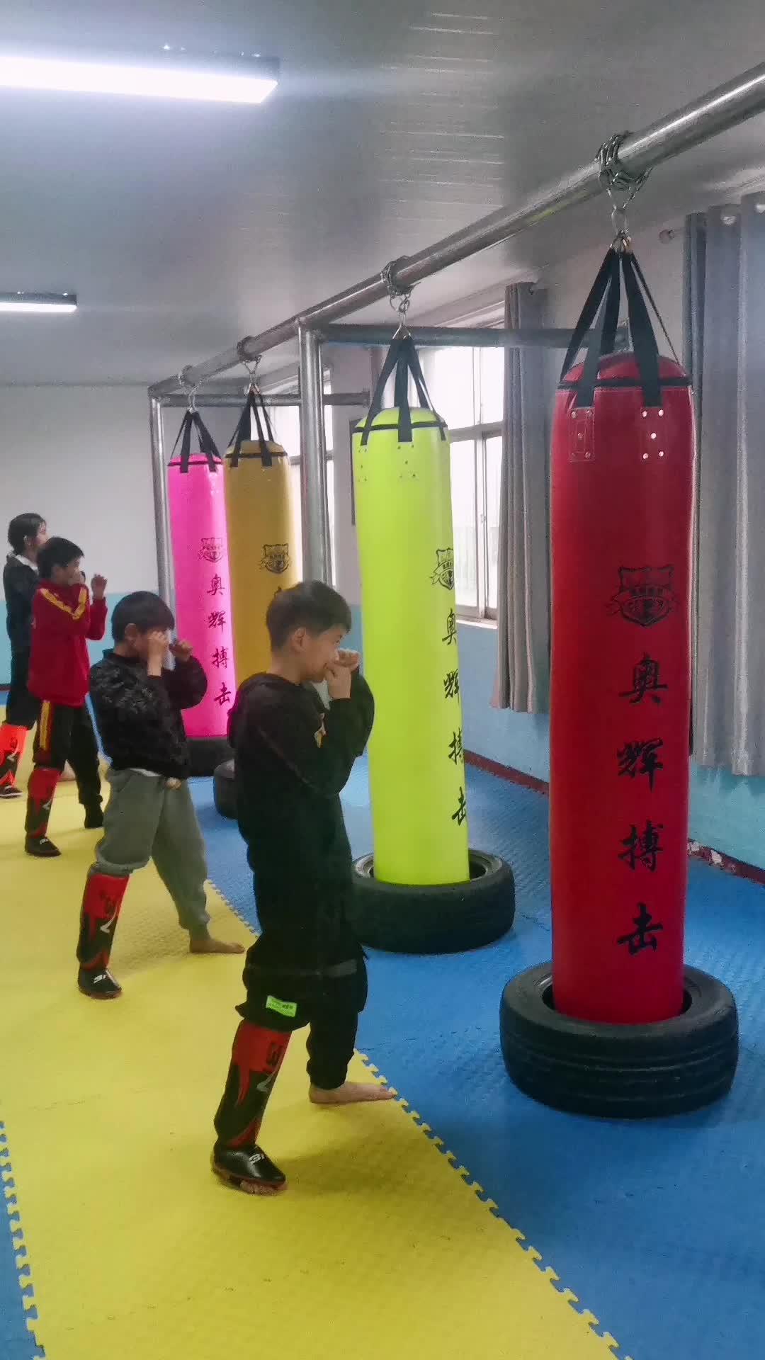 少儿搏击散打 格斗 运动 武术 日常训练 自由搏击