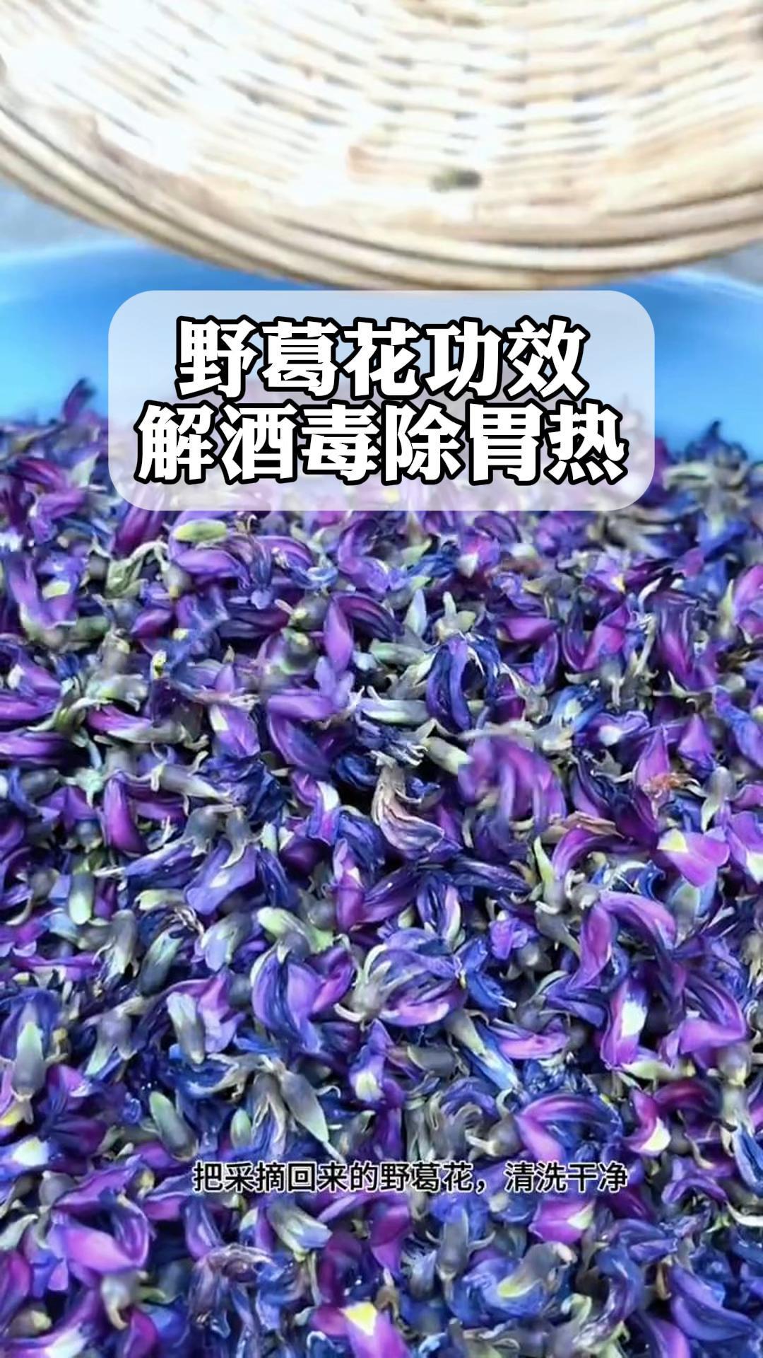 野葛花功效,解酒毒除胃热