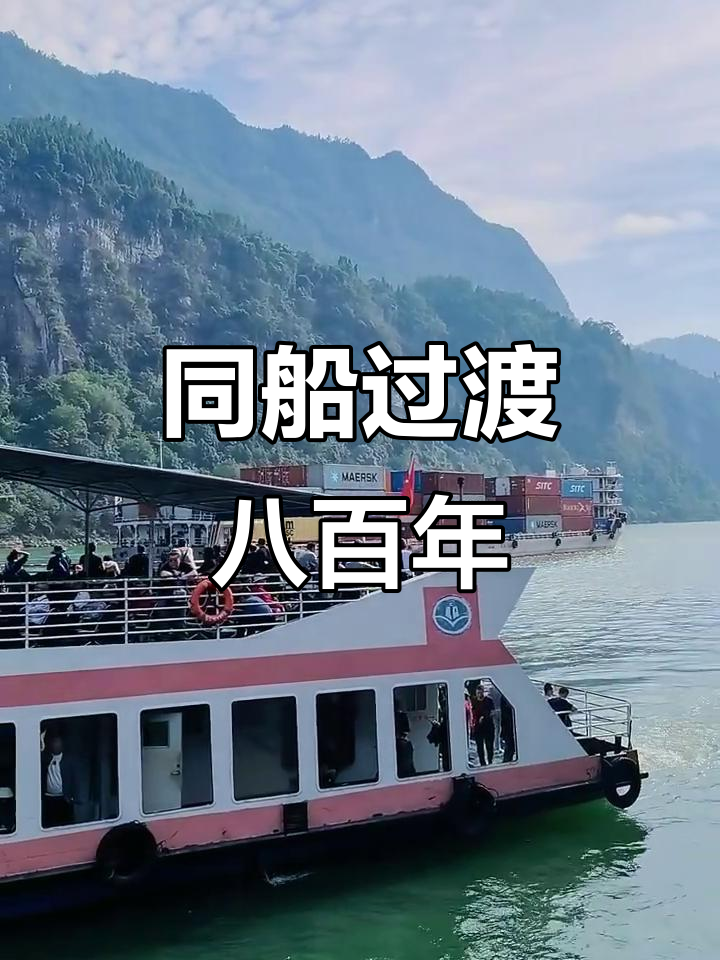 八百年同船渡,花接对花的奇妙旅程