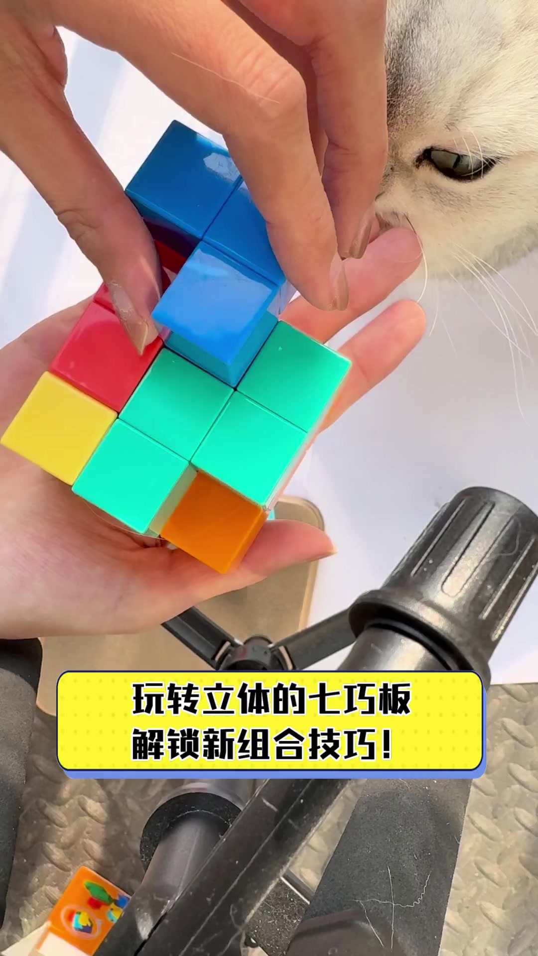 玩转立体的七巧板,解锁新组合技巧!