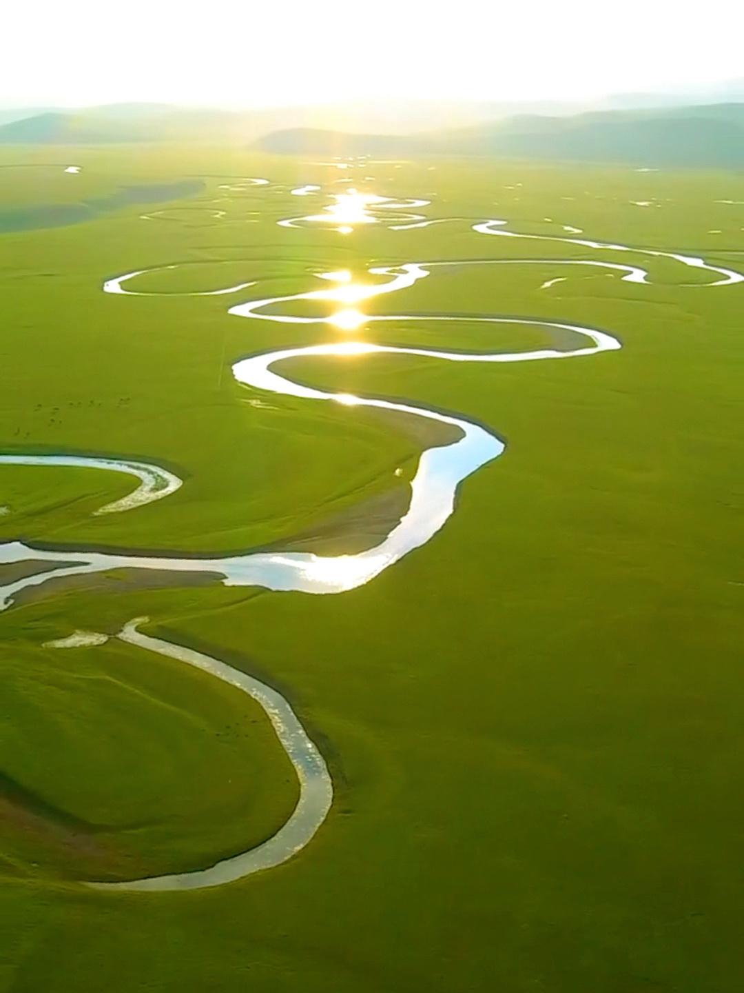 内蒙古呼伦贝尔大草原旅游攻略