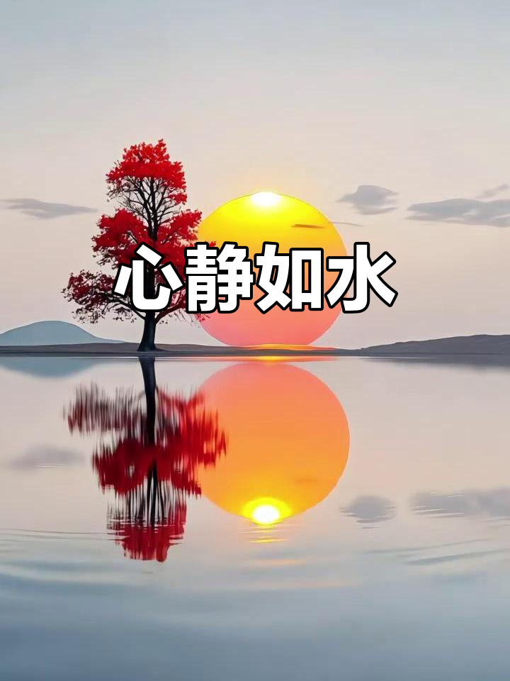 夜色如画,孤树映水,心境宁静,纷扰尽消