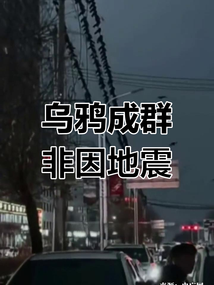 甘肃地震最新消息刚刚2021年5月22日(甘肃地震最新消息刚刚2021年5月22日是几号)