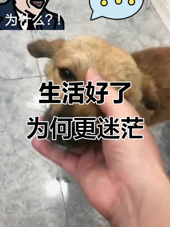 为什么生活 为什么生活