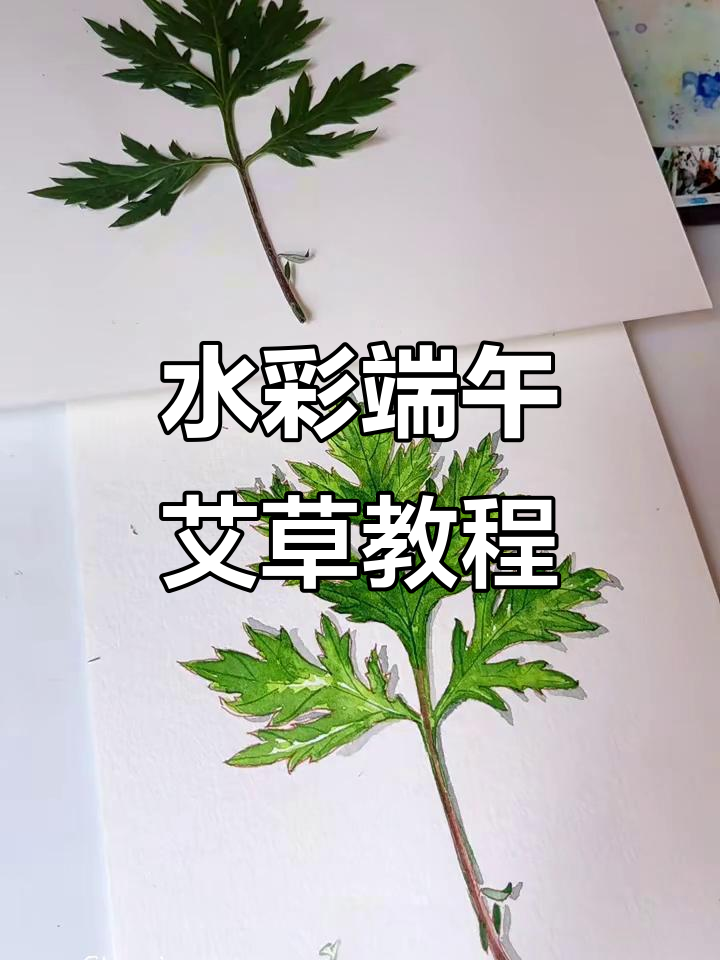 端午节艾草水彩绘制全过程,简单步骤教你画出美丽图案