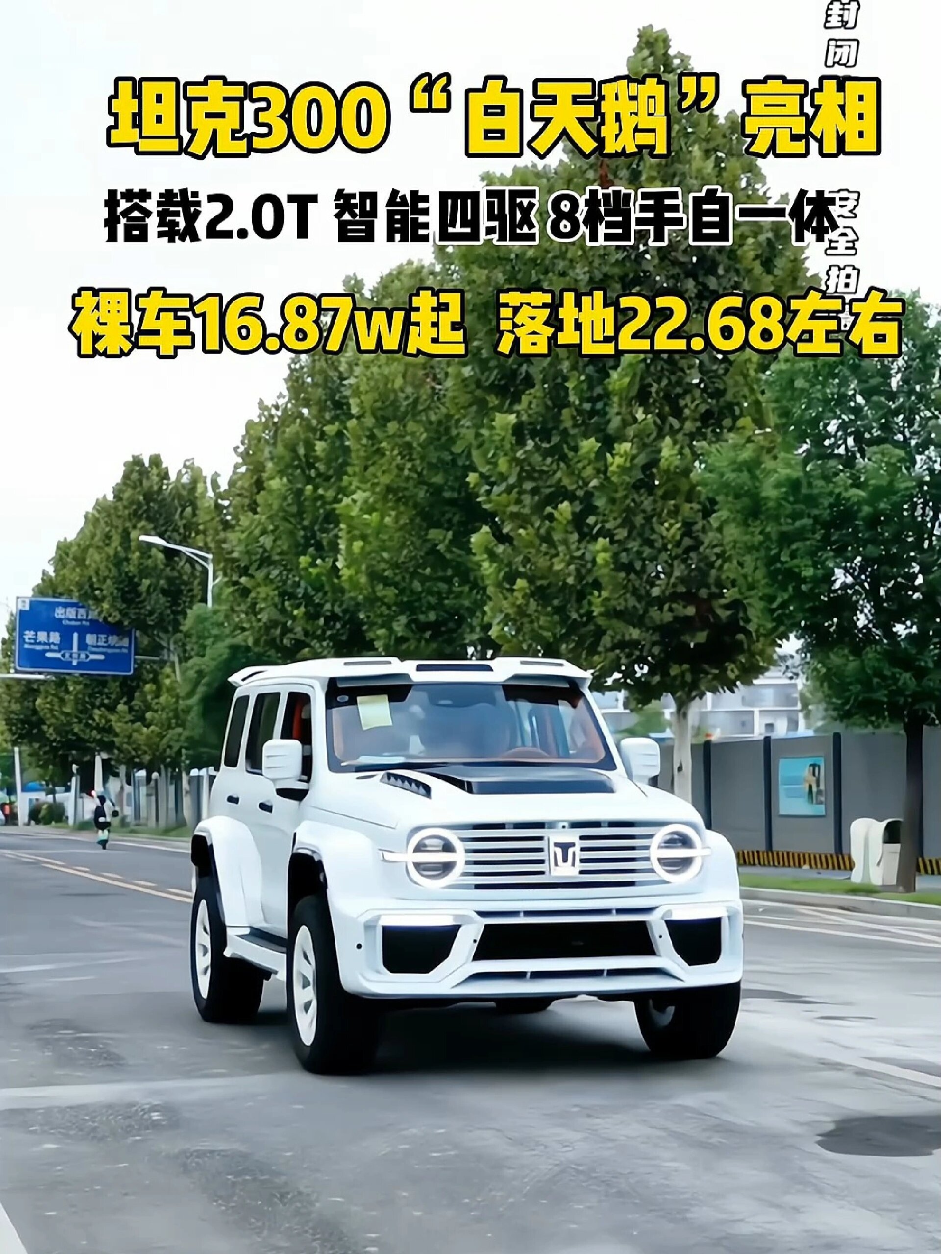 23款坦克300白天鹅惊艳亮相