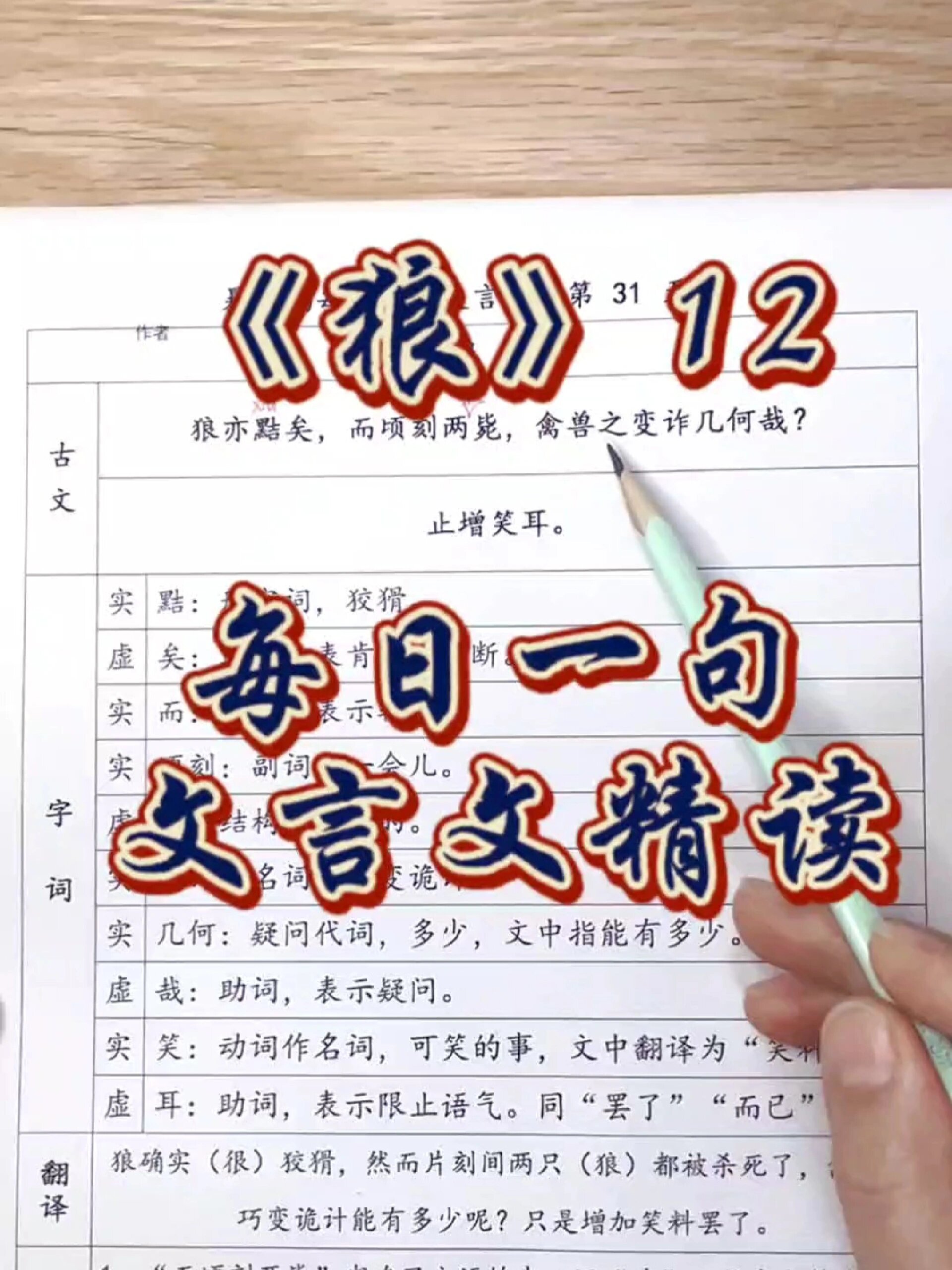 每日一句文言文精读:《狼》12