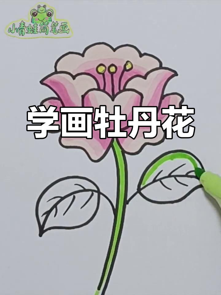 简单牡丹花画法教程