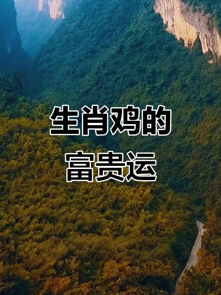 生肖属鸡的今年运势如何(属鸡今年的运势怎么样2021)