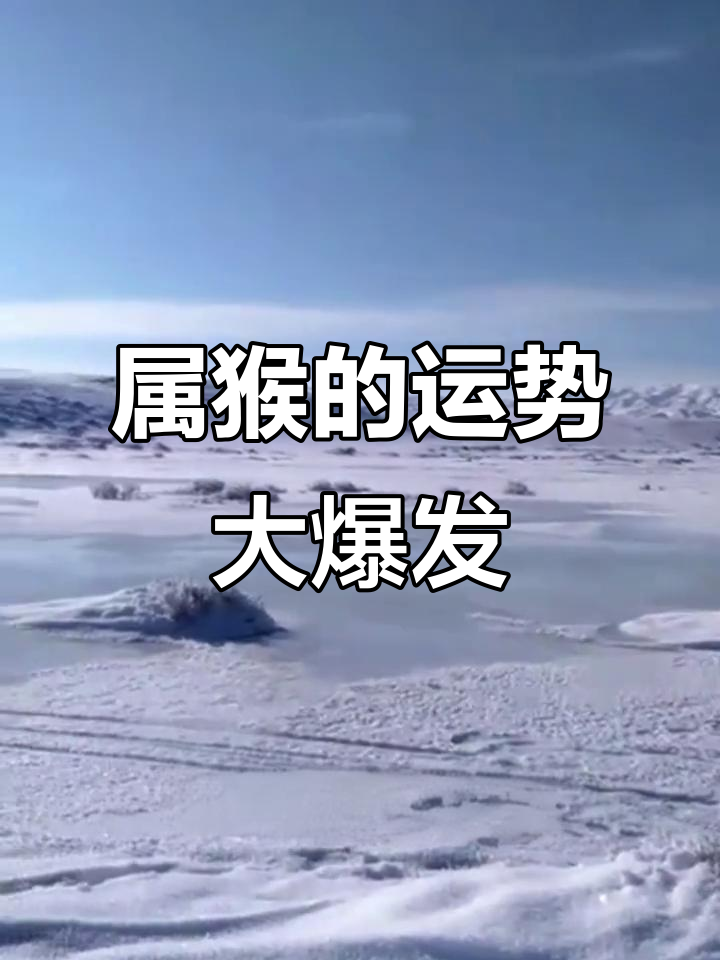 生肖猴22年工作运势如何(生肖猴22年工作运势如何呢)