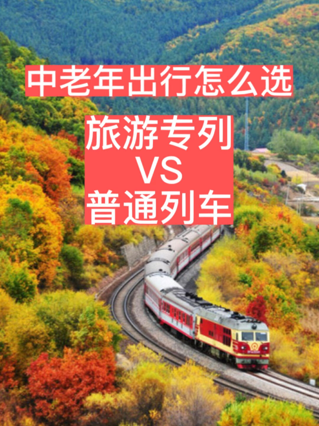 老年专列旅游线路图片