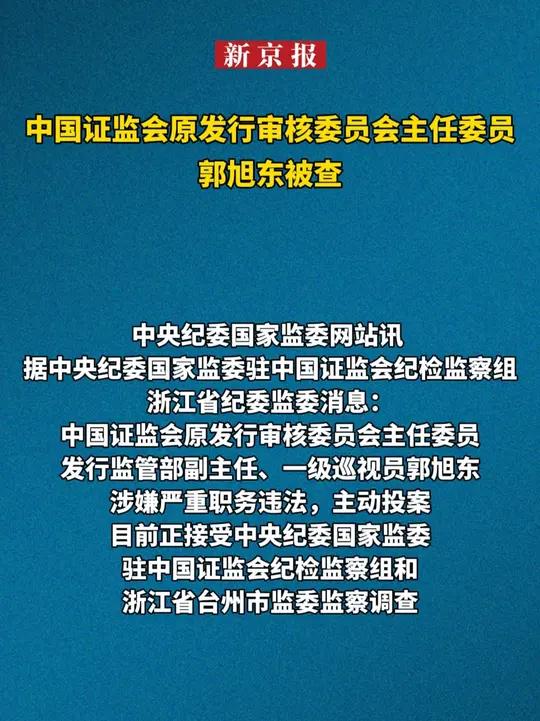 中国证监会原发行审核委员会主任委员郭旭东被查
