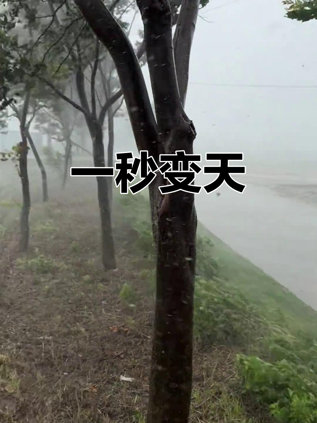安徽涡阳天气马上知