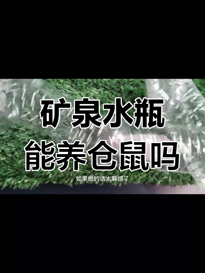 矿泉水瓶做仓鼠喂水图片