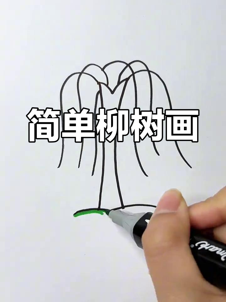 柳树简笔画,轻松学会春天的美丽景色