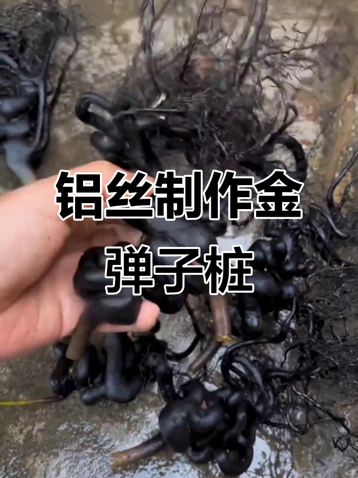 用铝丝打造金弹子人工桩,简单又美观!