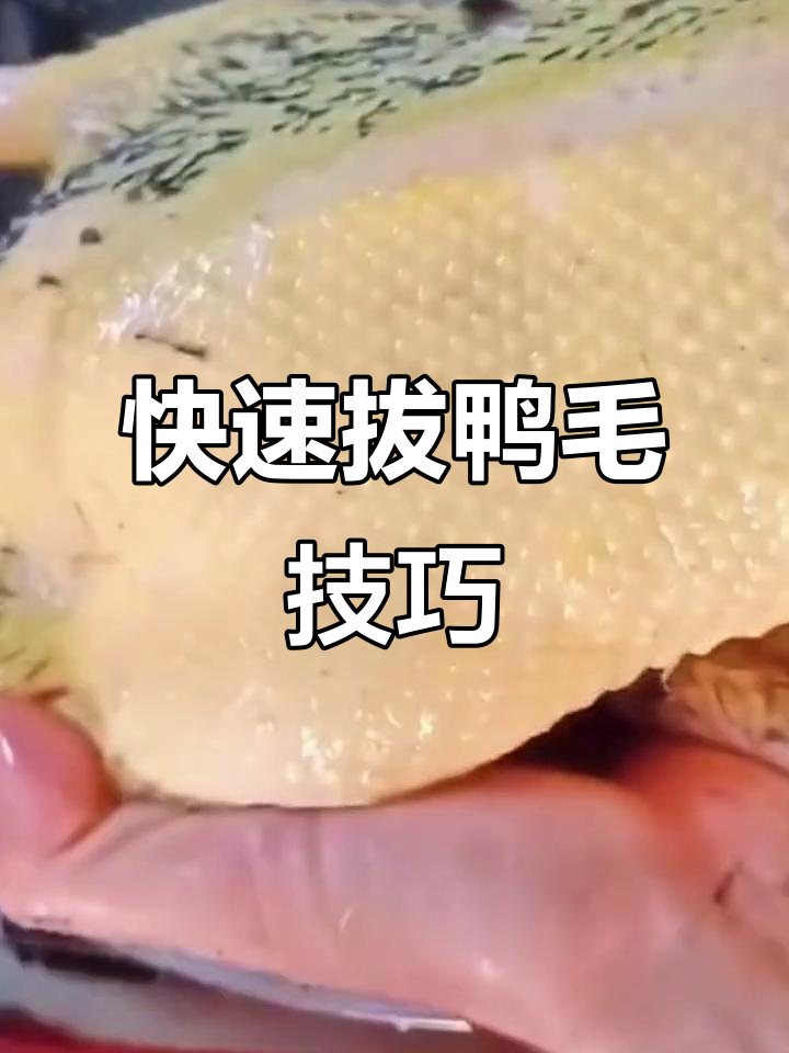 拔毛神器大揭秘,轻松去鸭毛的技巧