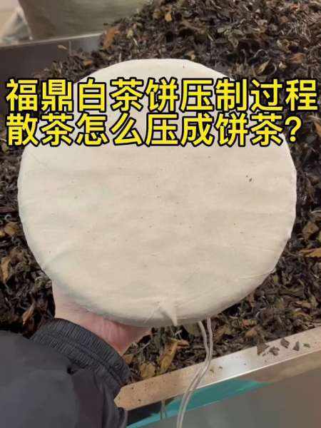 白茶压饼过程1分钟看懂白茶散茶压成茶饼
