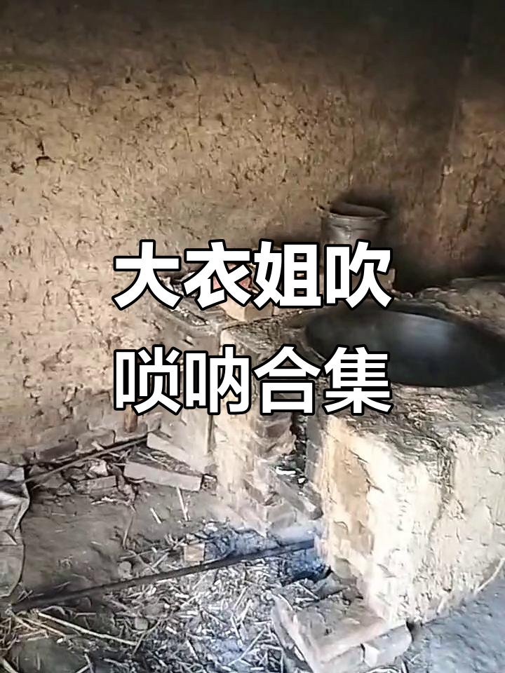 河南大衣姐与傻二妮合作,吹唢呐演绎豫东风情
