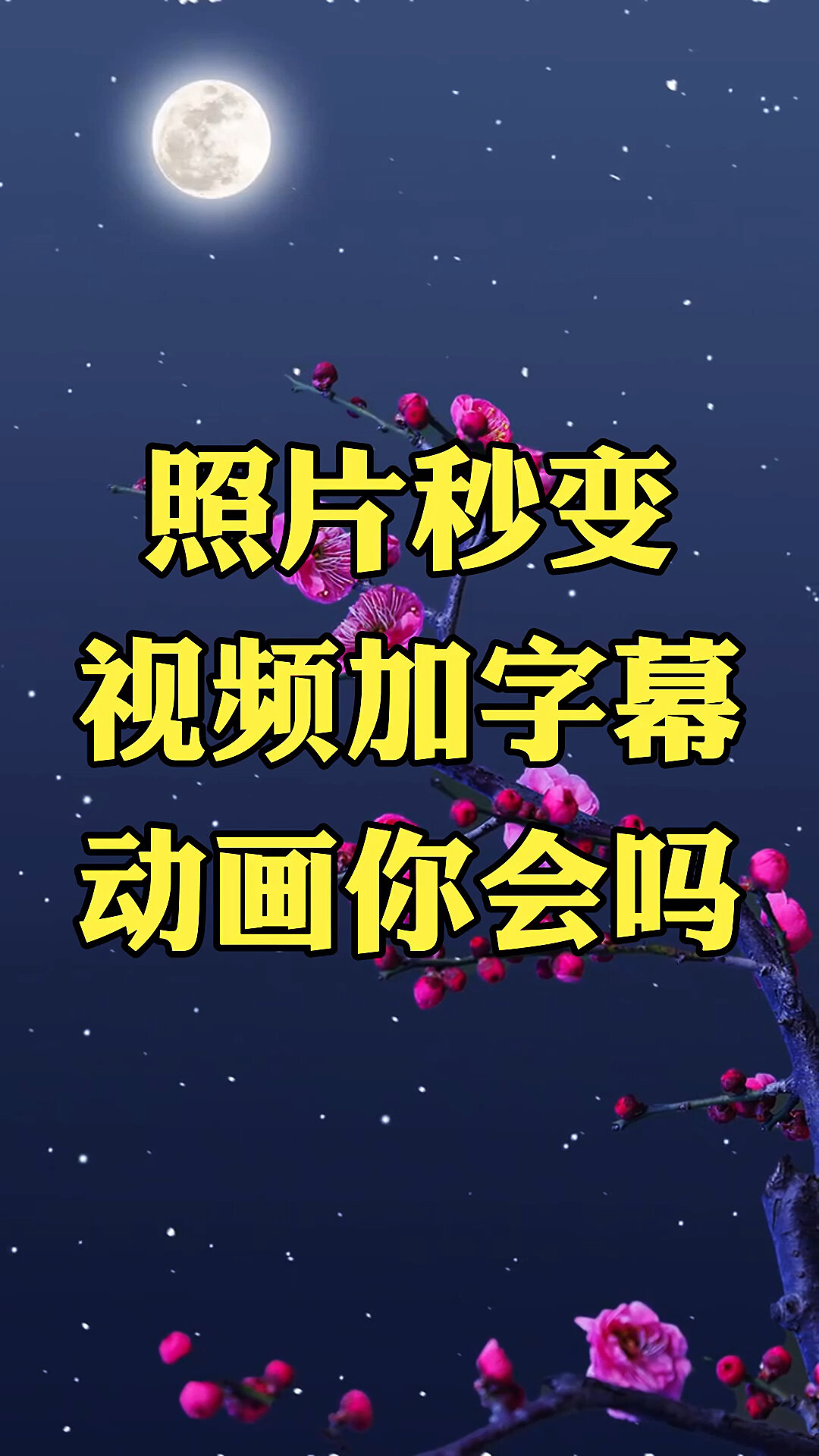 照片秒变视频加字幕动画你会吗