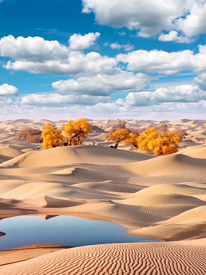 塔克拉玛干沙漠