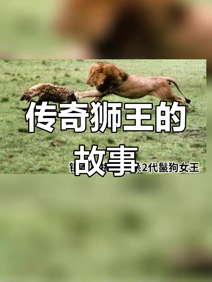 2004年传奇狮王银泰杜梅拉:勇闯生死时速