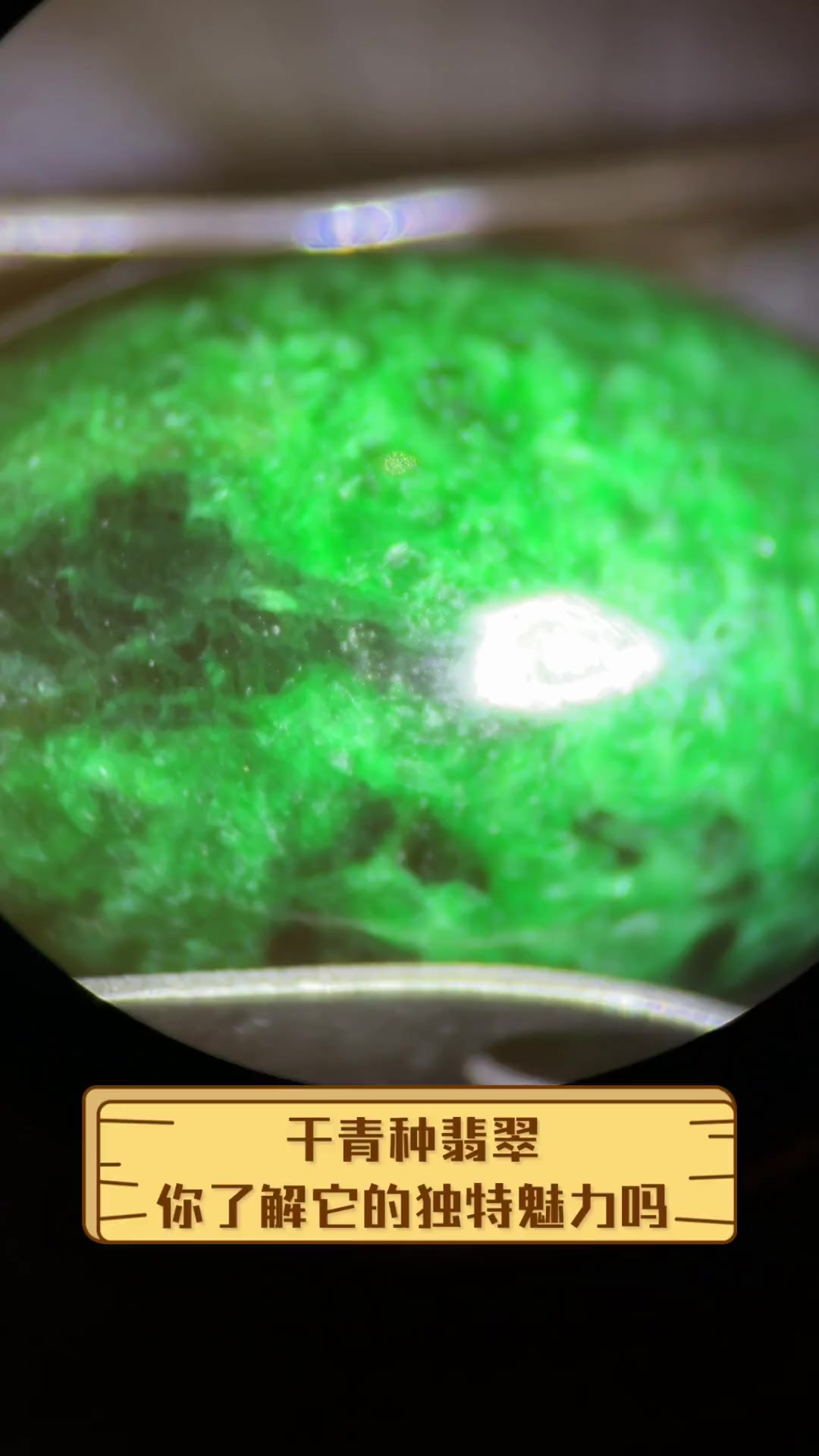 干青翡翠一般多少钱一克(干青翡翠一般多少钱一克价格)